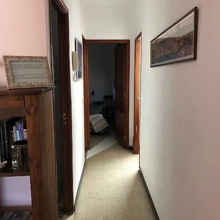 Apartment Playa Nueva